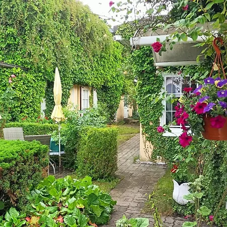 Haus Sandra Lägenhet Heringsdorf (Usedom)