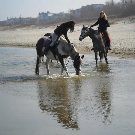 アパート Haus Sandra