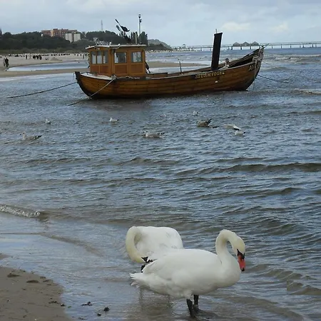 Haus Sandra アパート *