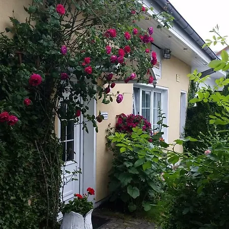Haus Sandra Apartment